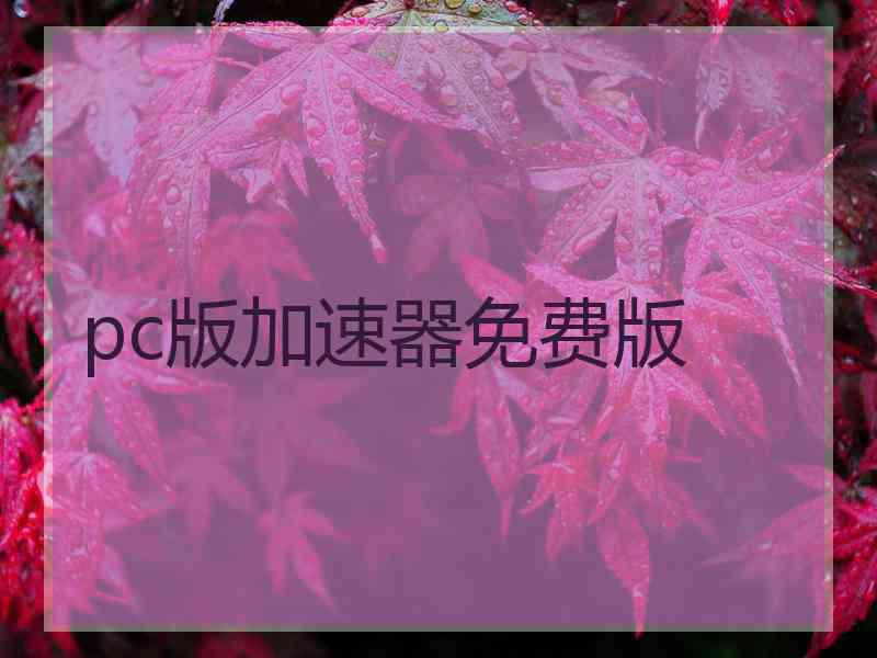 pc版加速器免费版