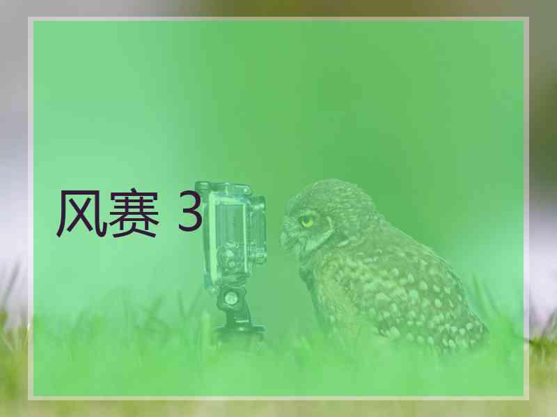 风赛 3