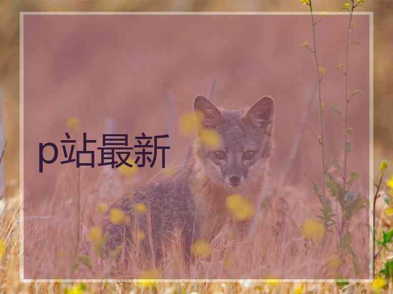 p站最新