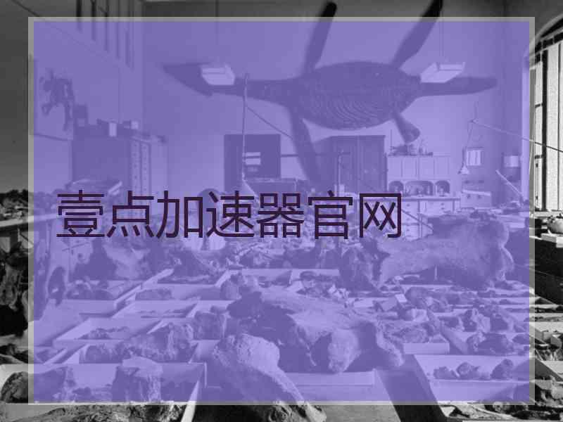 壹点加速器官网