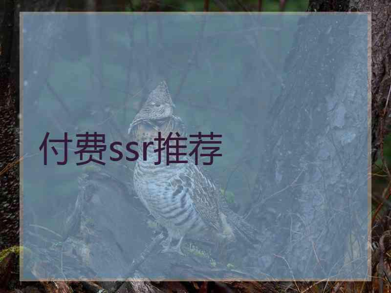 付费ssr推荐