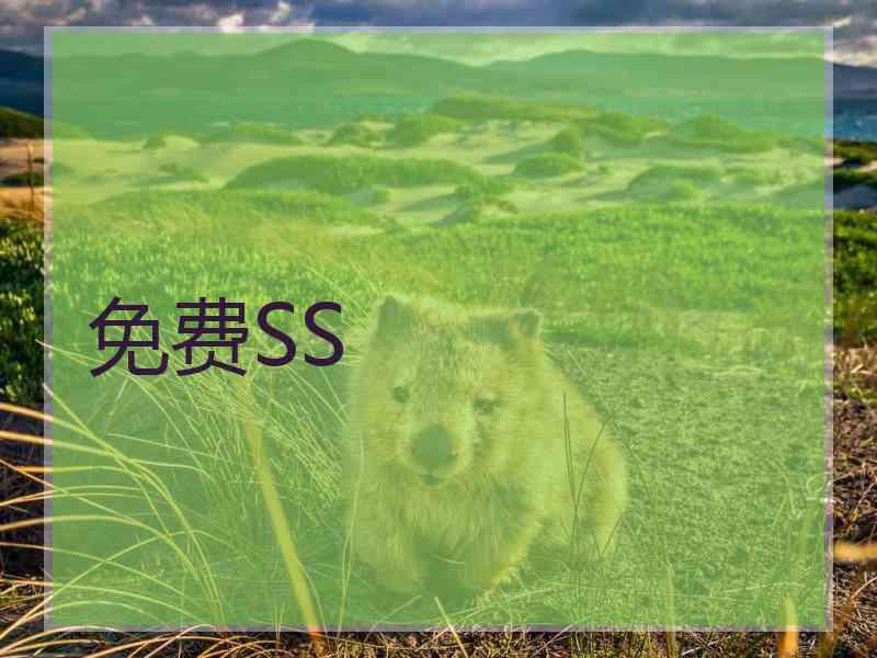 免费SS