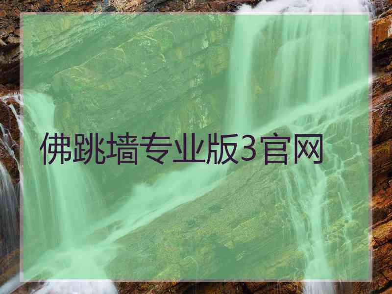 佛跳墙专业版3官网