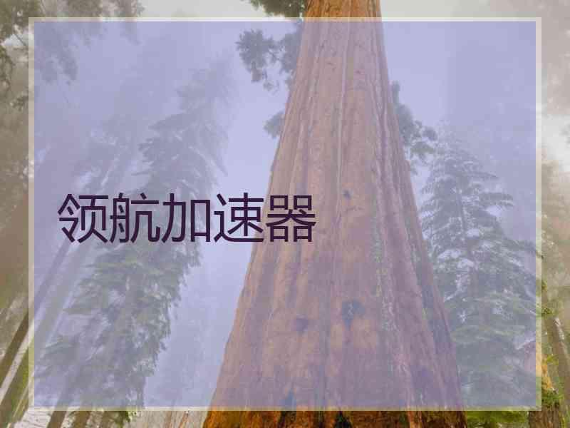 领航加速器