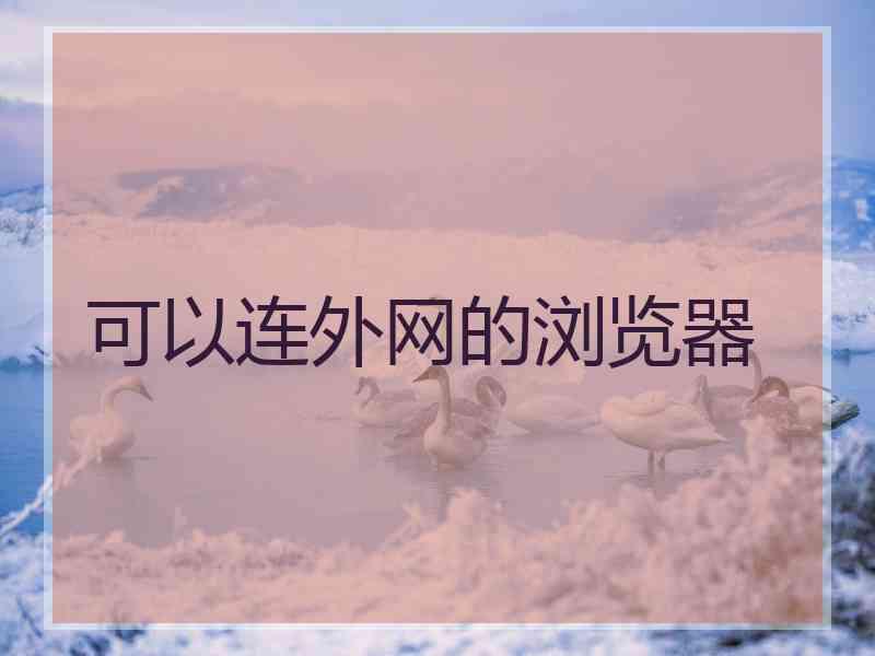 可以连外网的浏览器