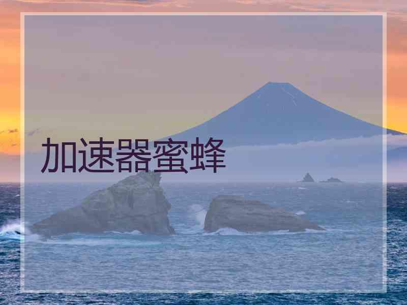 加速器蜜蜂