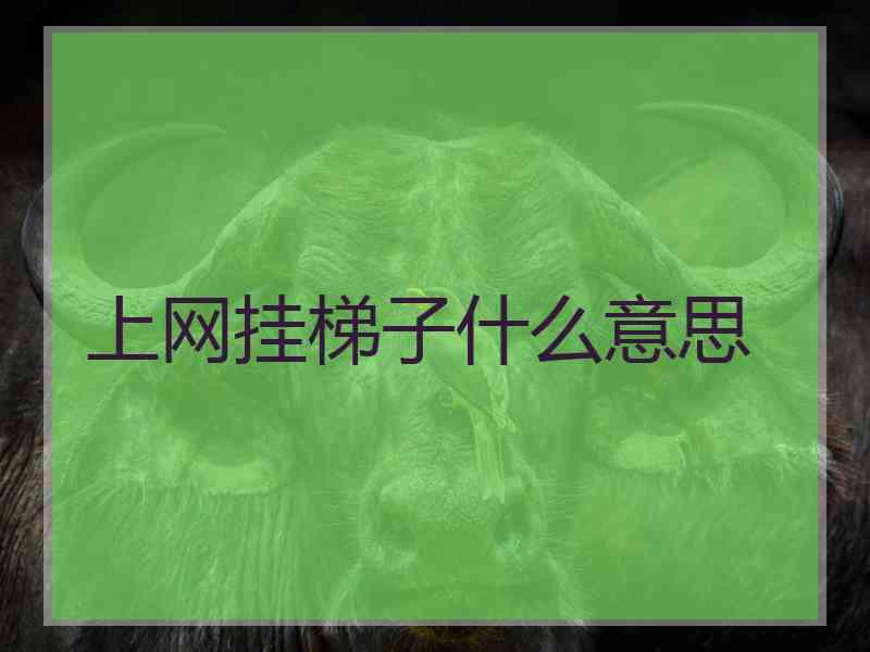 上网挂梯子什么意思