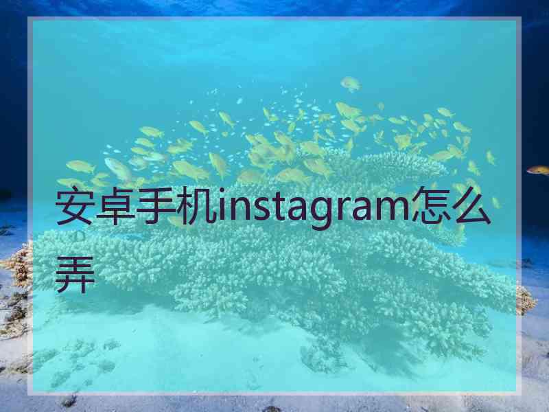 安卓手机instagram怎么弄