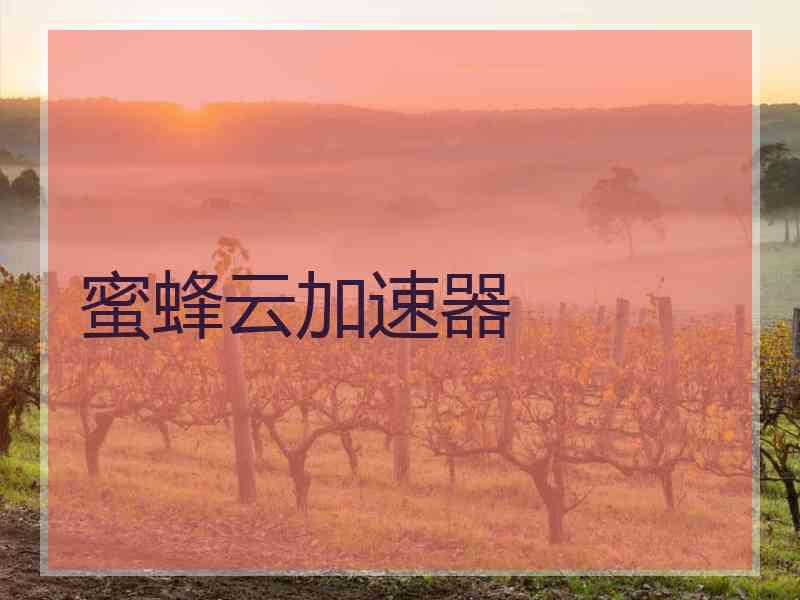 蜜蜂云加速器