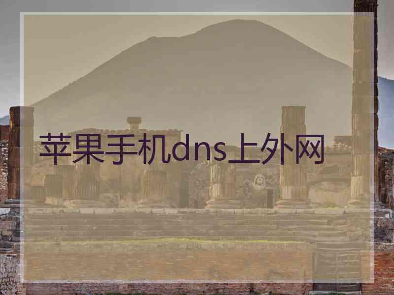 苹果手机dns上外网