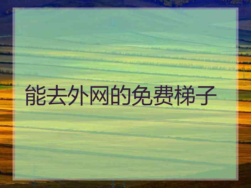 能去外网的免费梯子