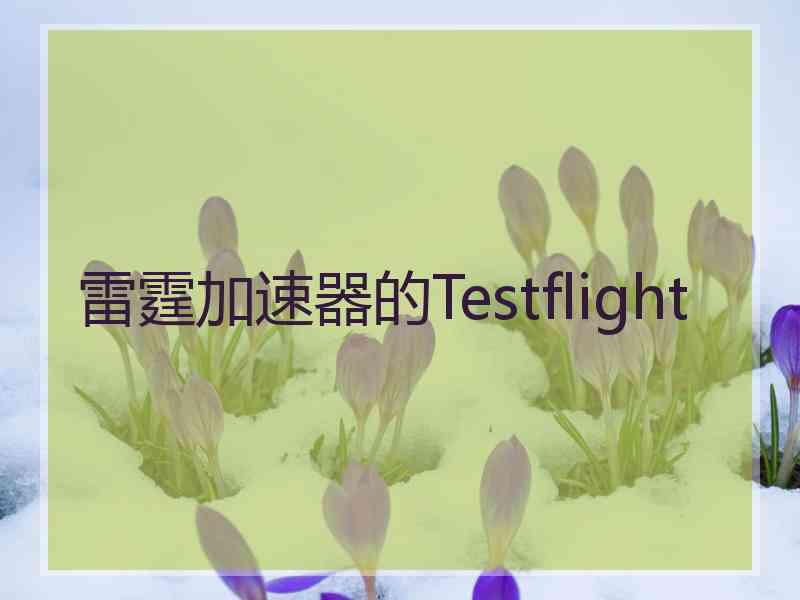 雷霆加速器的Testflight