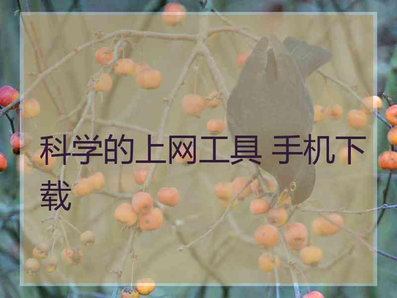 科学的上网工具 手机下载