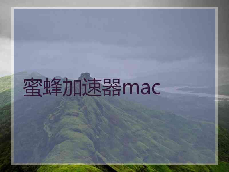 蜜蜂加速器mac