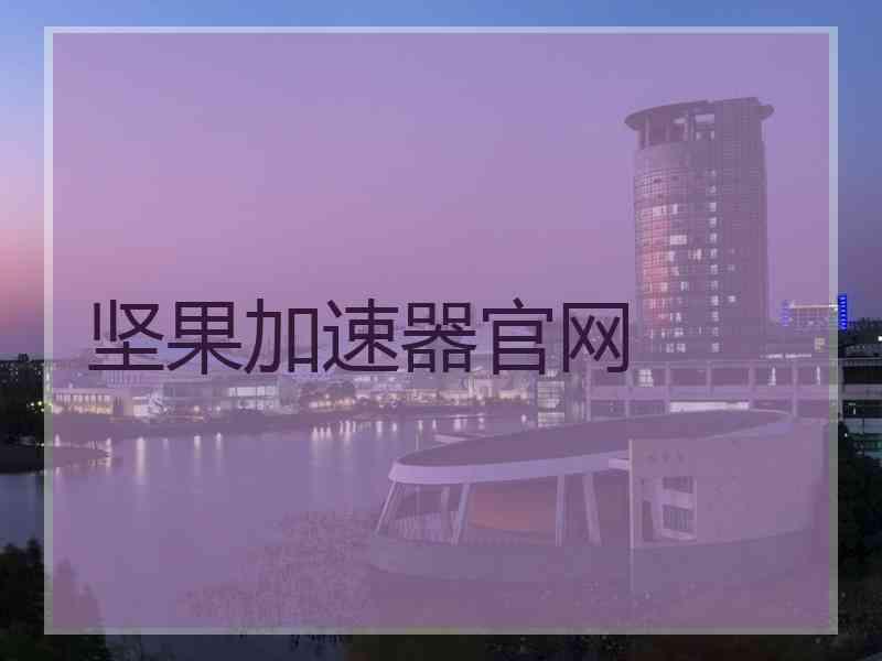 坚果加速器官网