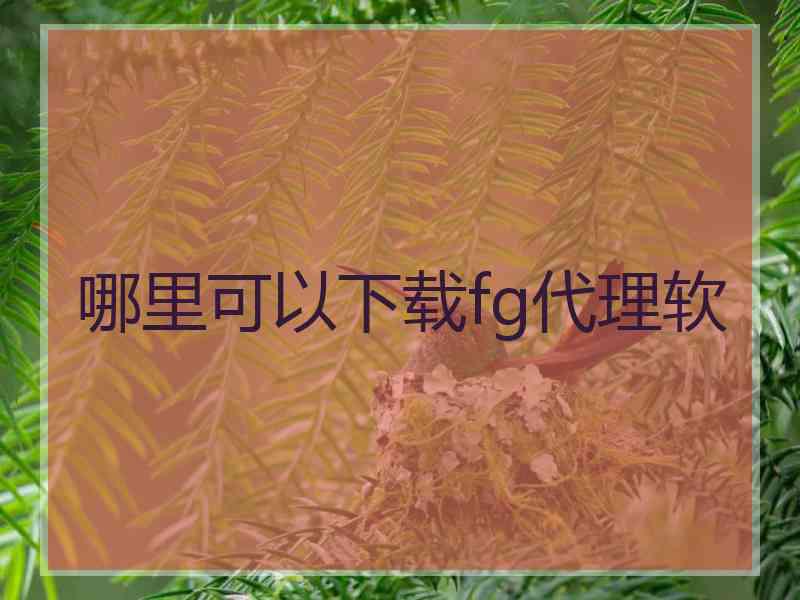 哪里可以下载fg代理软