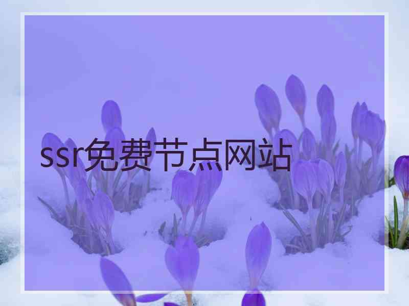 ssr免费节点网站