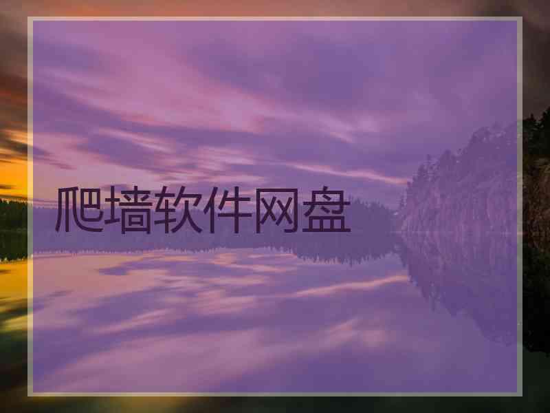 爬墙软件网盘