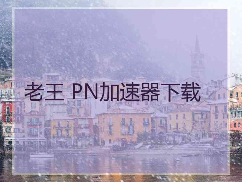 老王 PN加速器下载