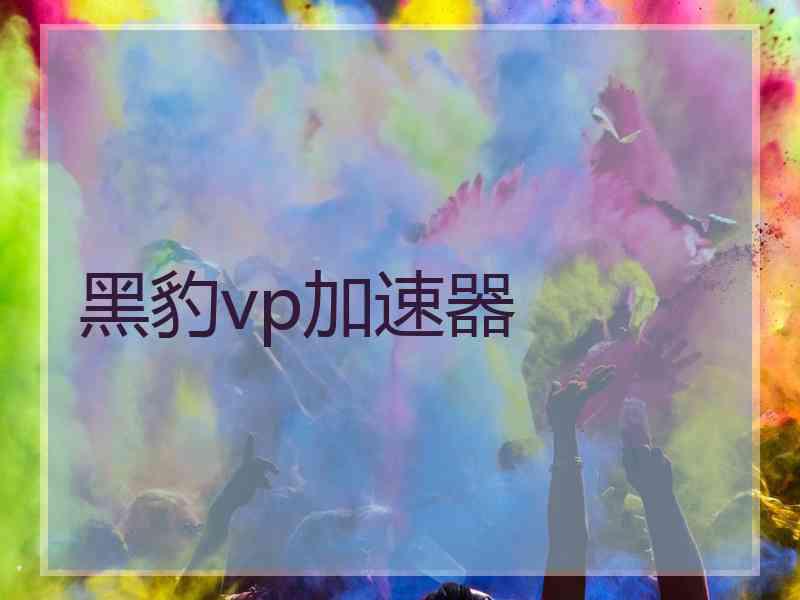 黑豹vp加速器