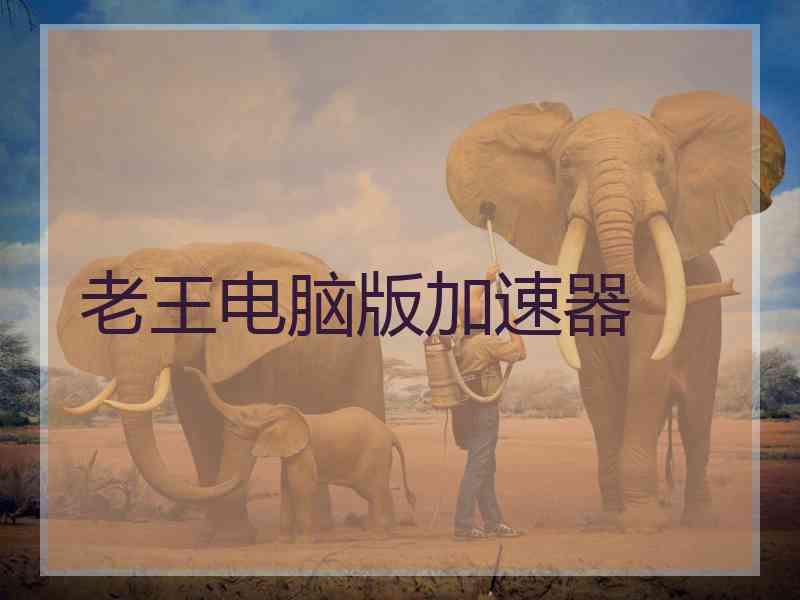 老王电脑版加速器