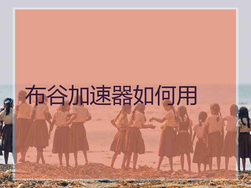 布谷加速器如何用