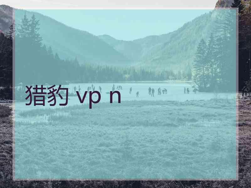 猎豹 vp n