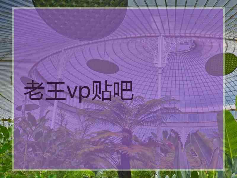 老王vp贴吧