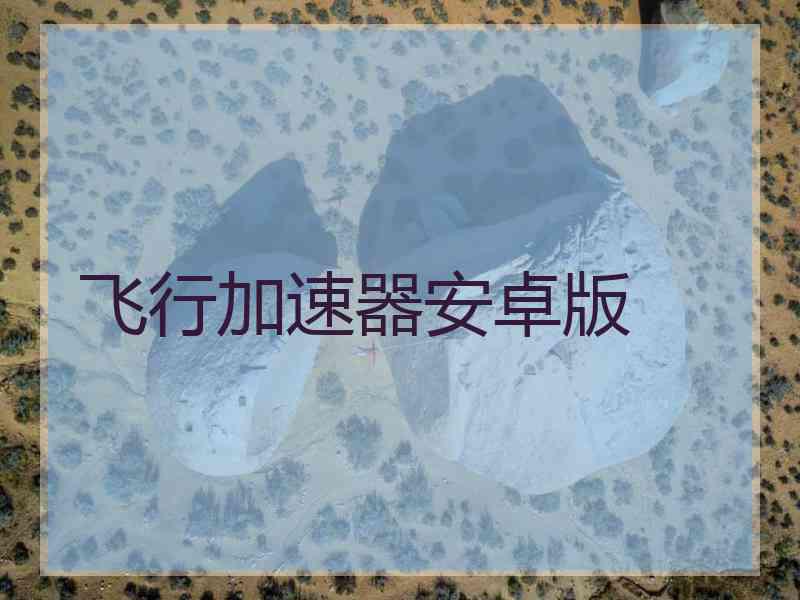 飞行加速器安卓版