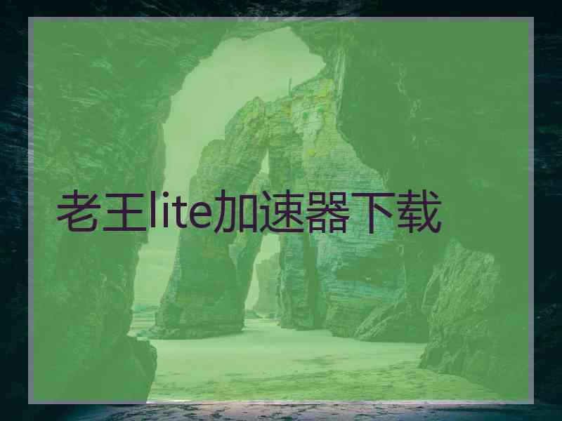 老王lite加速器下载