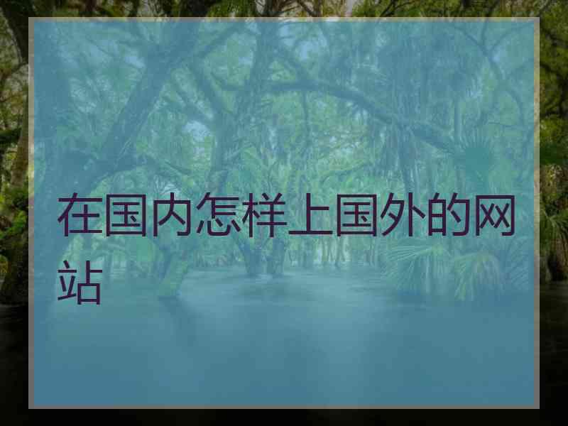 在国内怎样上国外的网站
