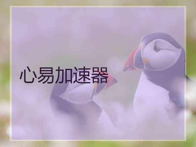心易加速器