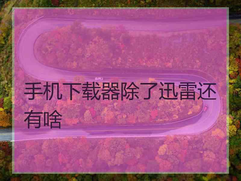 手机下载器除了迅雷还有啥