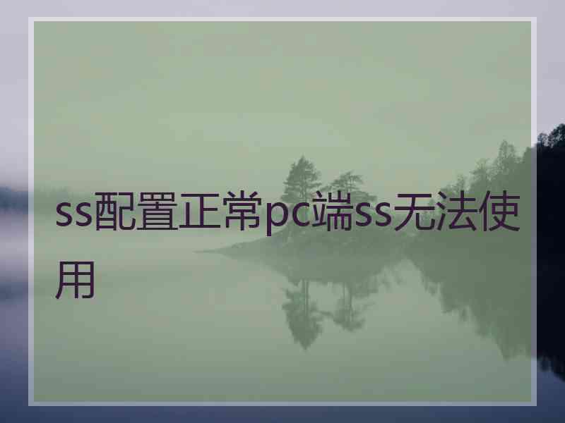ss配置正常pc端ss无法使用