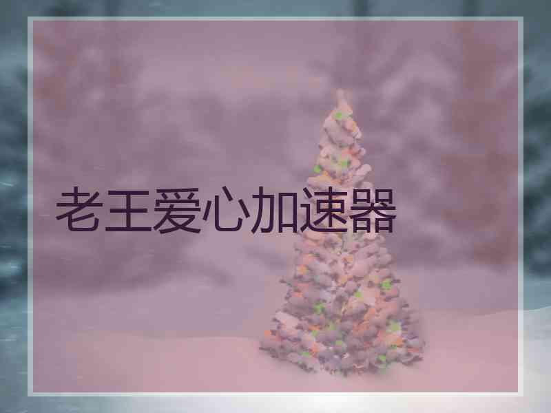老王爱心加速器