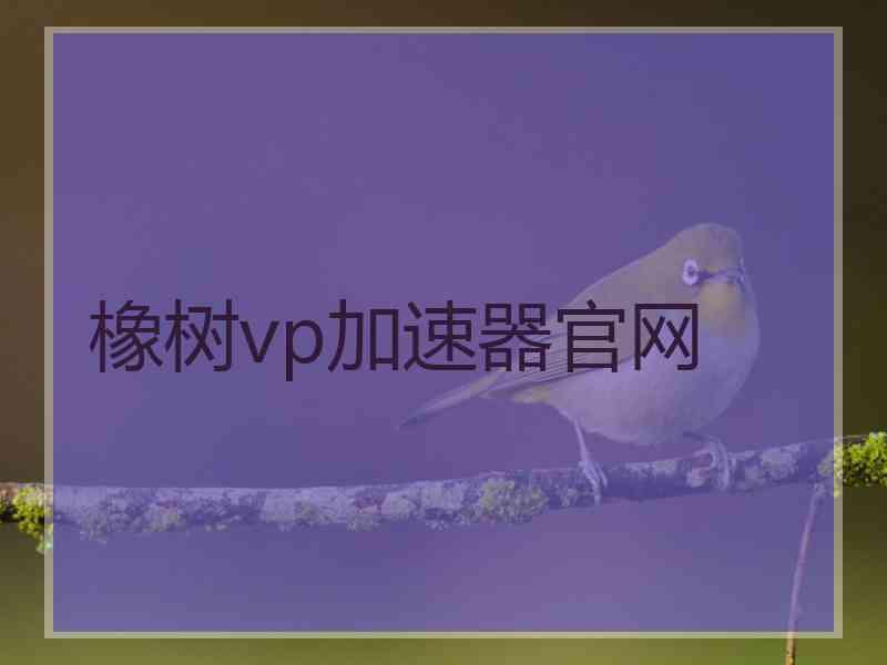 橡树vp加速器官网