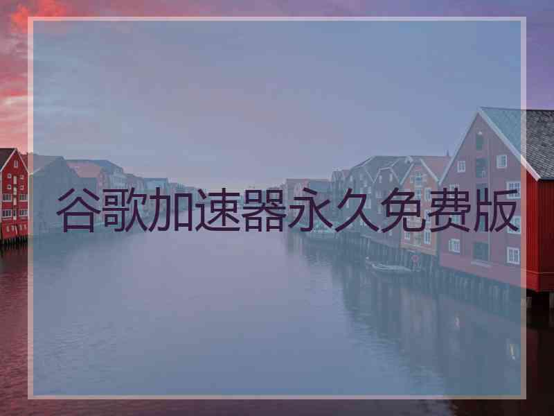 谷歌加速器永久免费版
