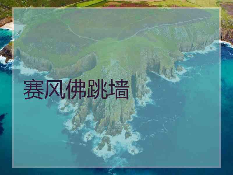 赛风佛跳墙
