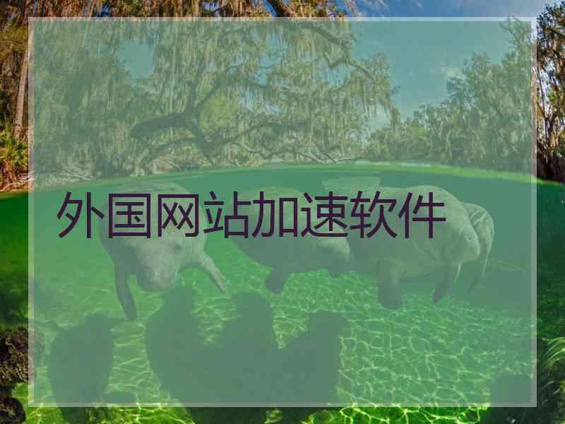外国网站加速软件