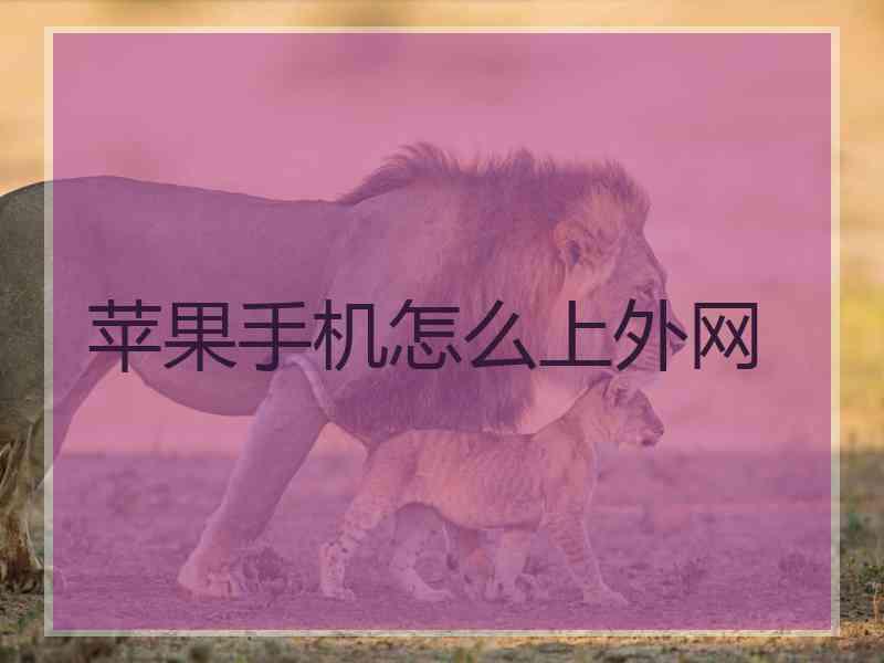 苹果手机怎么上外网