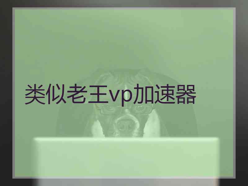 类似老王vp加速器
