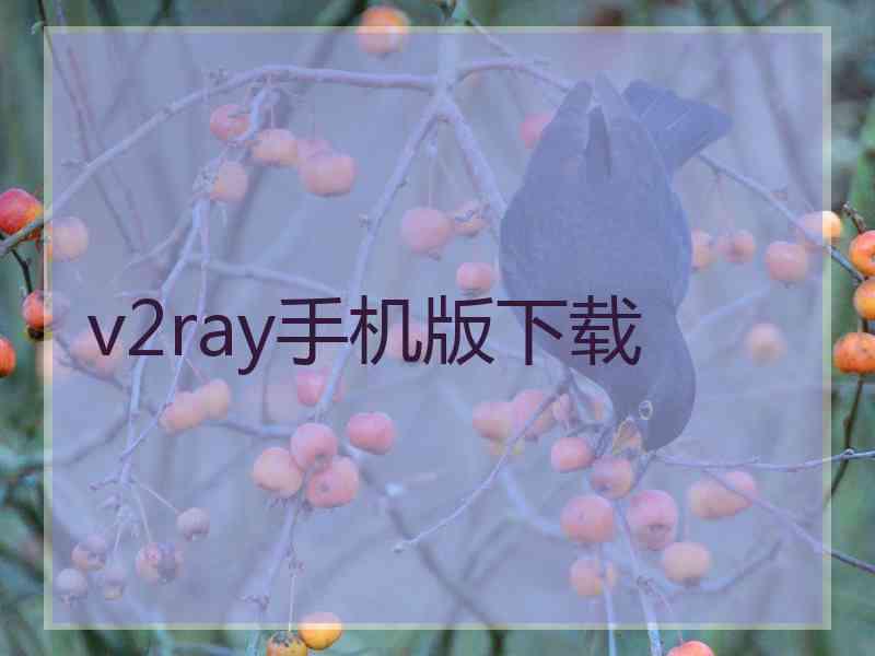 v2ray手机版下载