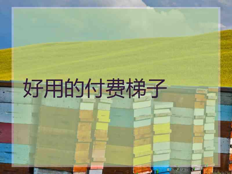 好用的付费梯子