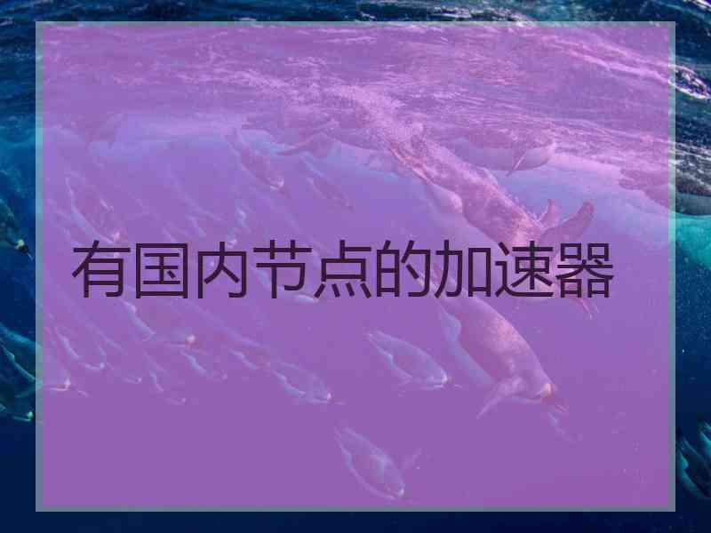 有国内节点的加速器
