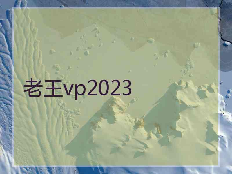 老王vp2023