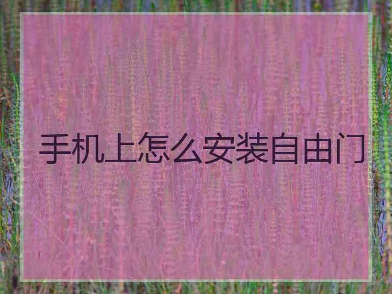 手机上怎么安装自由门