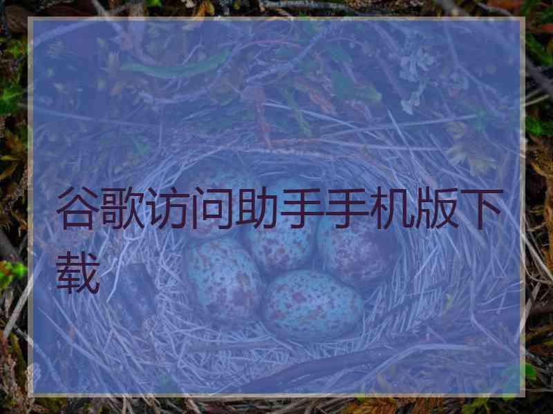 谷歌访问助手手机版下载