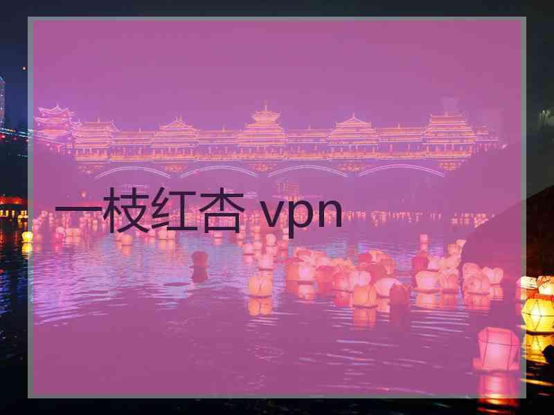 一枝红杏 vpn