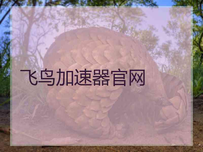 飞鸟加速器官网