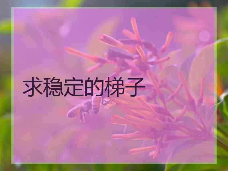 求稳定的梯子